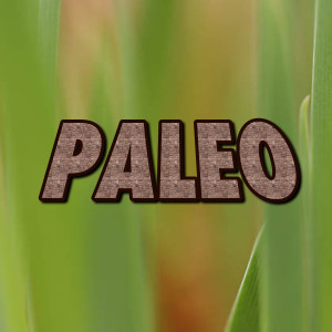 Paleo