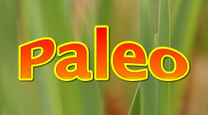 paleo