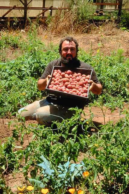 Farmer with Harvest